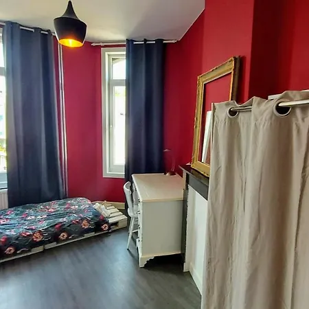 Charmante Chambre A Louer Au Centre De Gilly Charleroi